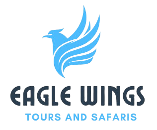 eaglewingstoursandsafaris