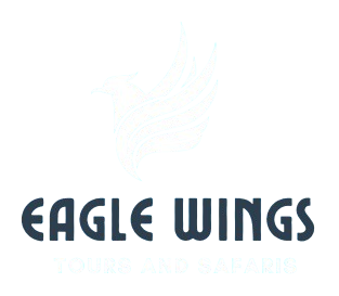 EAGLES_WINGS_TOURS_AND_SAFARIS-