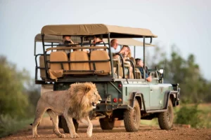 Tsavo West National Park Safari Guide