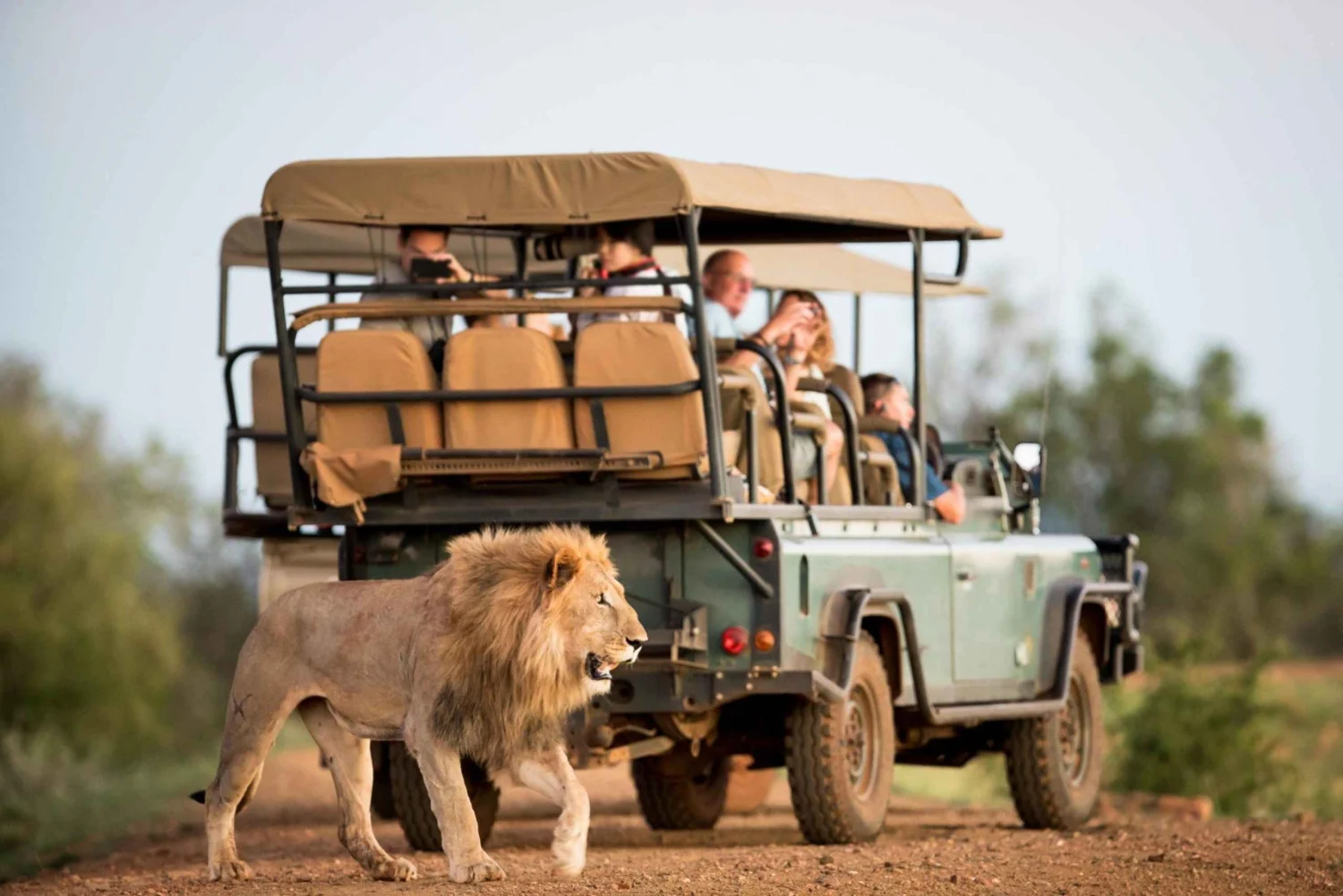 Tsavo West National Park Safari Guide
