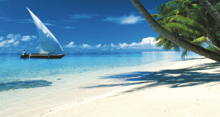 Ultimate Guide to Coastal Kenya Safaris & Beach Tours from Mombasa