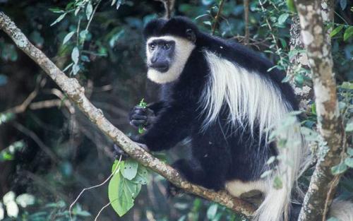 1631ec56-c0a2-478b-8ff0-30697c7fcf13